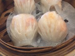 悦湖玉液虾饺皇-悦湖公馆