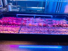 -盛江山自助料理(奥莱锦辉购物广场店)