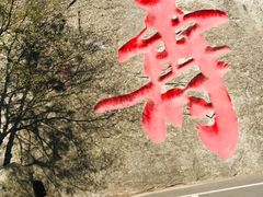 -陕西省红河谷森林公园