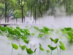 -四川大学(望江校区)