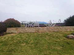 -西京湾花海
