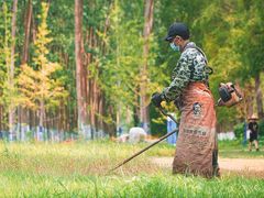 -黄海国家森林公园