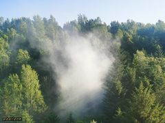 -茅兰沟国家森林公园