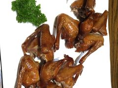 -大鸽饭(马王堆店)