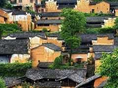 -杨家堂村