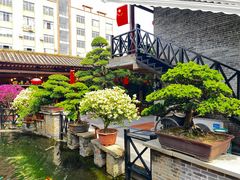 -猪肉婆私房菜(容桂总店)