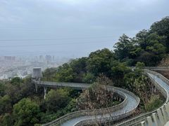 -福道