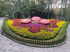 -上海共青森林公园