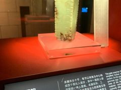 -金沙遗址博物馆