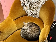 -恋物百货商店(华侨城店)