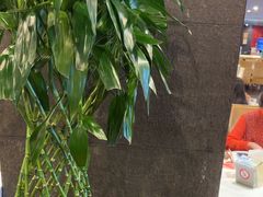 -望京辣宴·古法川菜(望京店)