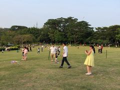 -东莞植物园