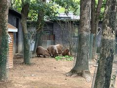 -宁波野生动物园