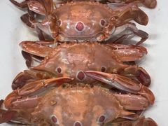 -新金盛·海鲜酒楼(盐田店)
