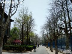 -山东大学(洪家楼校区)