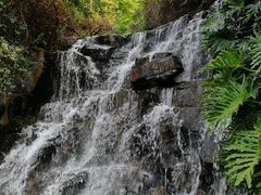 -仙岳公园
