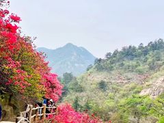 -木兰云雾山