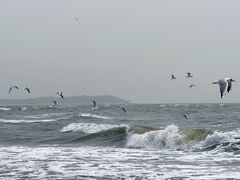 -老虎石海上公园