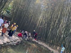 -竹泉村旅游度假区