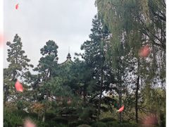 -西安青龙寺遗址景区