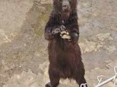 -石家庄市动物园