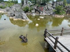 -千岛湖石林