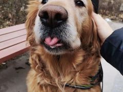 -萌兽医馆·犬猫专科·眼科中心·宠物医院(朝阳门分院)