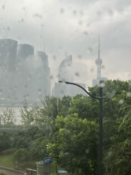 -上海首尔丽格医疗美容医院