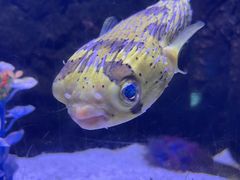 -梦幻海洋王国(吾悦广场张家港店)