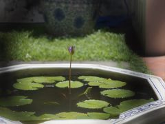 -曼谷国家博物馆