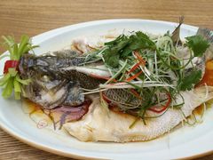 -确喜美味小厨(西单商场兰州店)