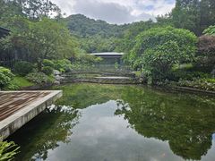 -云溪植物园