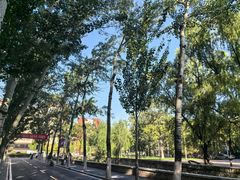 -南开大学(八里台校区)