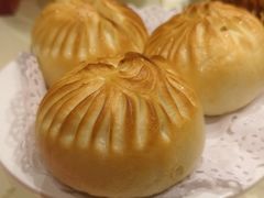 -凯鸽酒楼•雁北民间菜(华北星店)