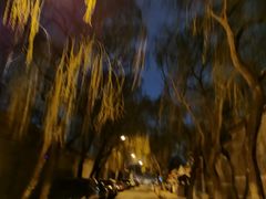 -百花深处胡同