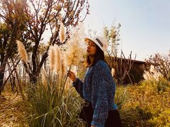 -盘龙城遗址博物院