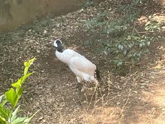 -昆明动物园