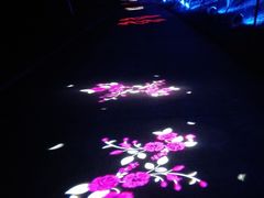 -天适樱花悠乐园