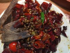-老板恋上鱼(振华商厦店)