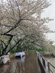 点击看大图 -晴川假日酒店·宴会厅·会议厅