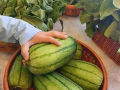 -至尊强仔(正光北街店)