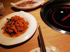 -守柴炉烤鸭(科华中路王府井店)