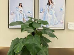 -HIMO海马体照相馆(上海华润CP静安店)