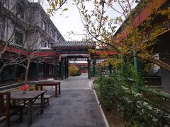-北京和园国际青年客栈