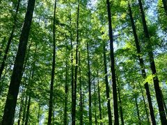 -山王坪喀斯特国家生态公园