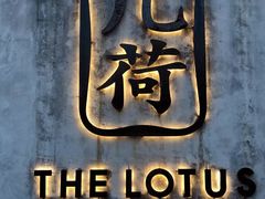 -几荷·恰似故人来(秀水广场店)