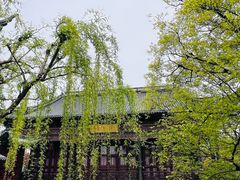 -上海皇廷花园酒店·御宴中餐厅
