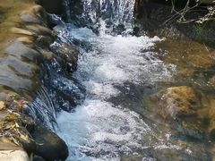 -白马涧龙池景区
