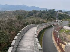 -黄贤森林公园
