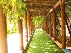 -爱彼格林珑悦幼儿园